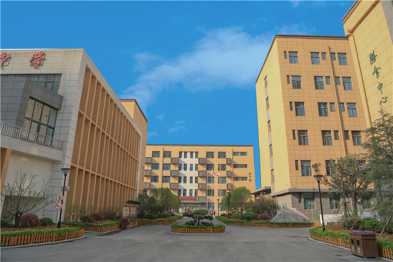  p>郑州一中国际城中学成立于2017年9月,隶属于郑州一中教育集团,是