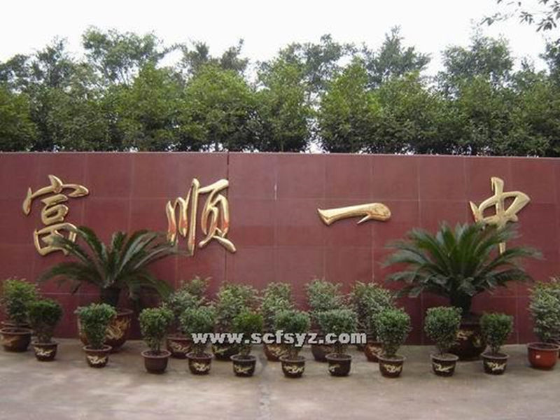  p data-id="gnwi8dg1ur">富顺第一中学校(fushun no.