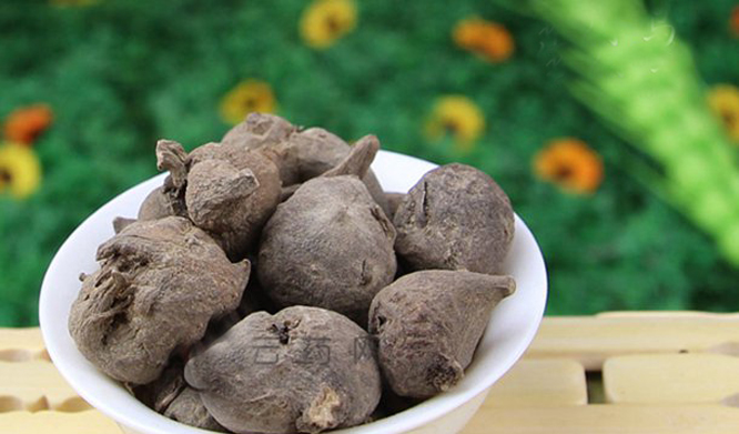  p>生川乌,英文名aconite root,别名鹅儿花,铁花,有大毒.