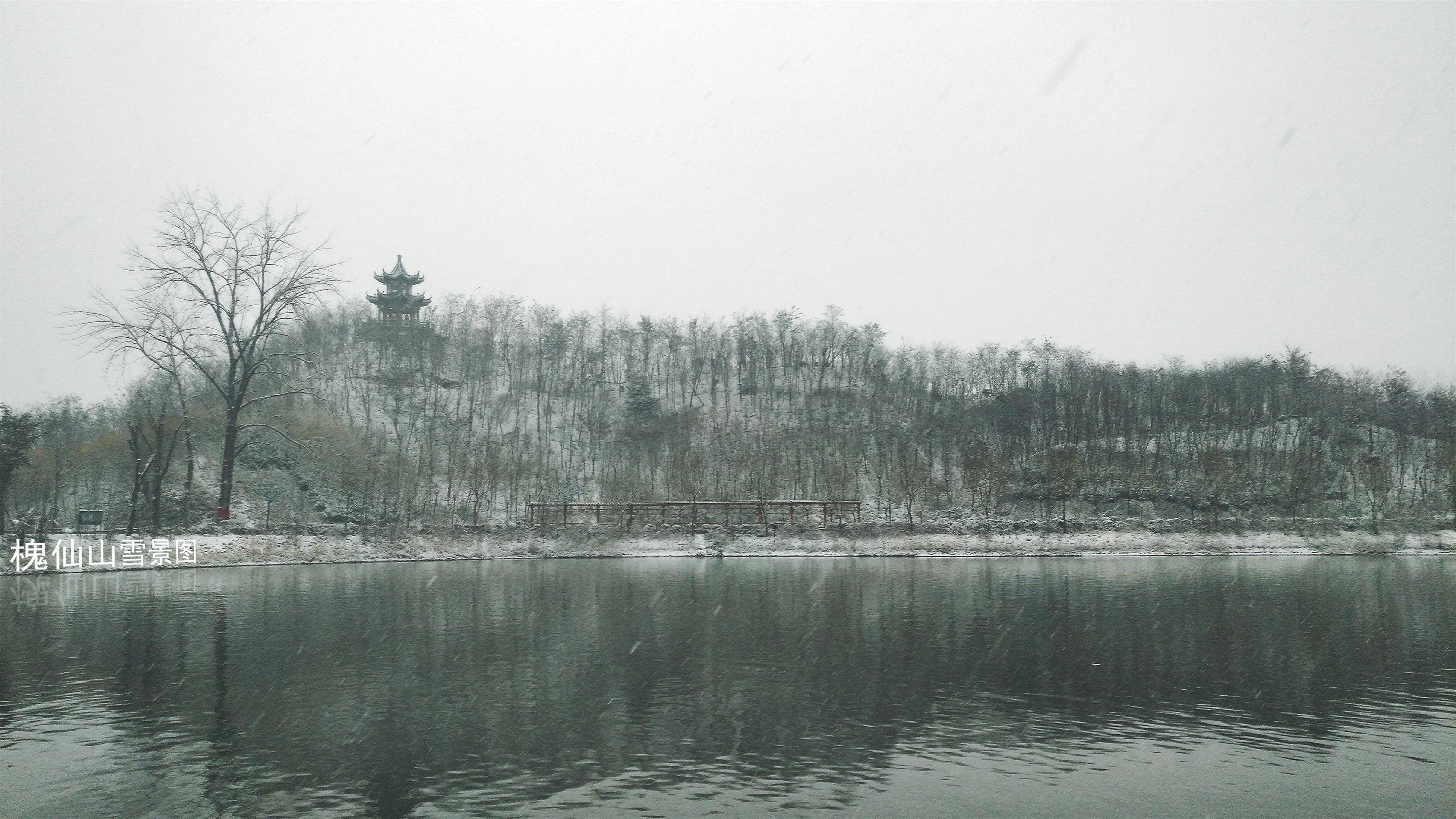 沈丘县中华槐园