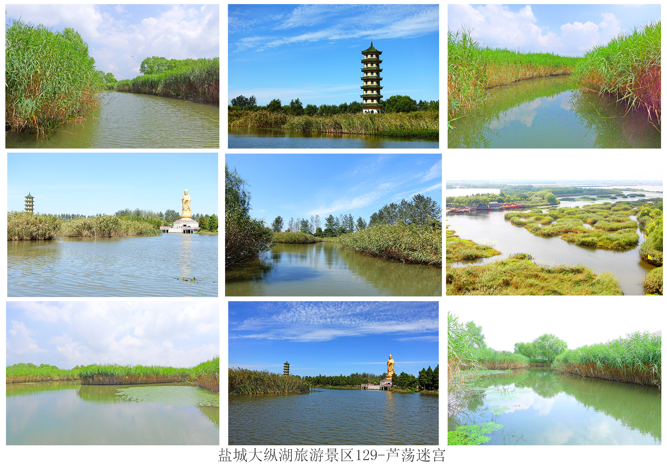  p>大纵湖旅游景区位于江苏 a href="#" data-lemmaid="5096789">盐城