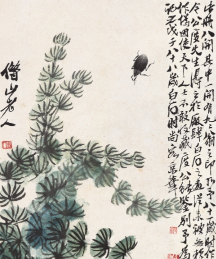 水草小虫