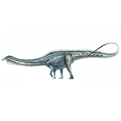 rebbachisaurus