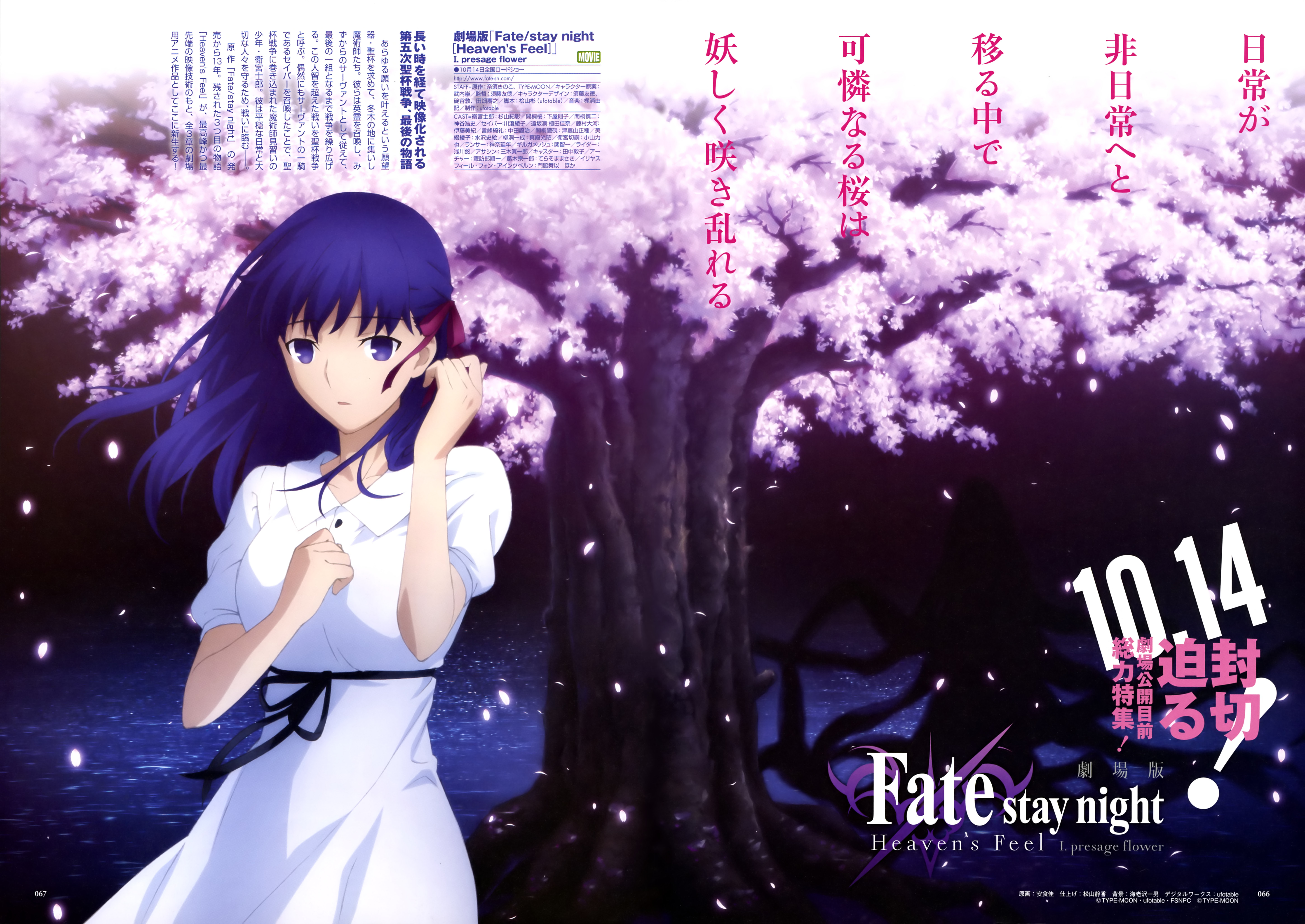 fate/stay night heavens feel剧场版