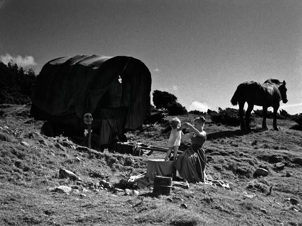 ">马克斯·冯·西多 /a>, a>本特·埃切罗特 /a>主演的奇幻电影,于195