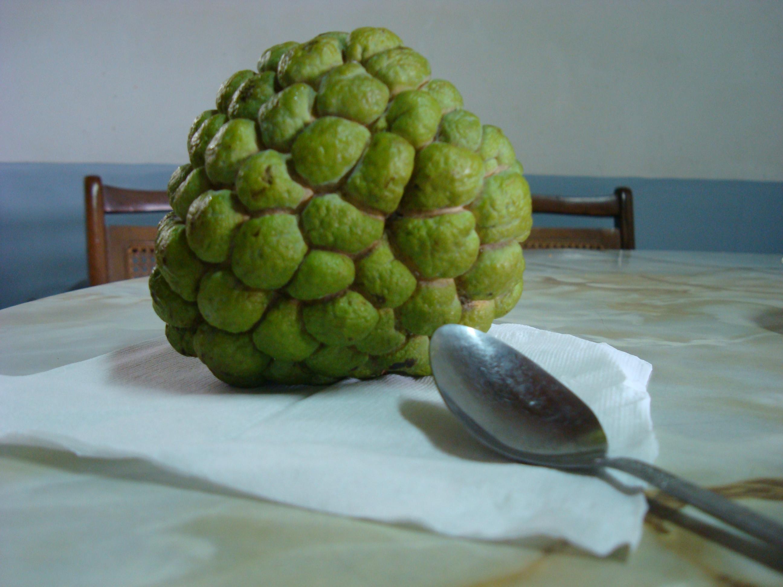  p>尖蜜拉(champedak),又名小木菠萝,是桑科木菠萝属植物,原产于