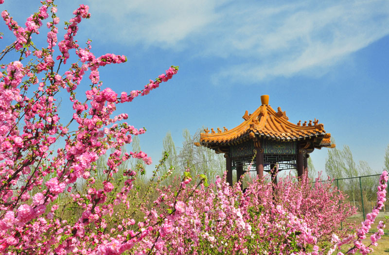北京财经专修学院