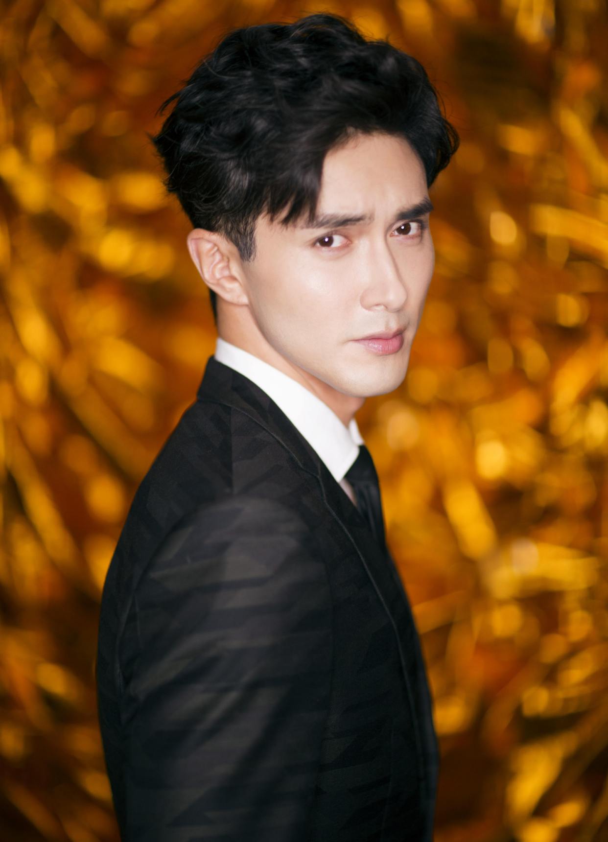 高伟光：是努力成就了的他｜但其爱情如谜，曾有3段绯闻_百科TA说