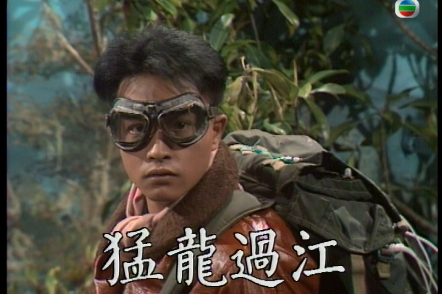 香港86之猛龙过江