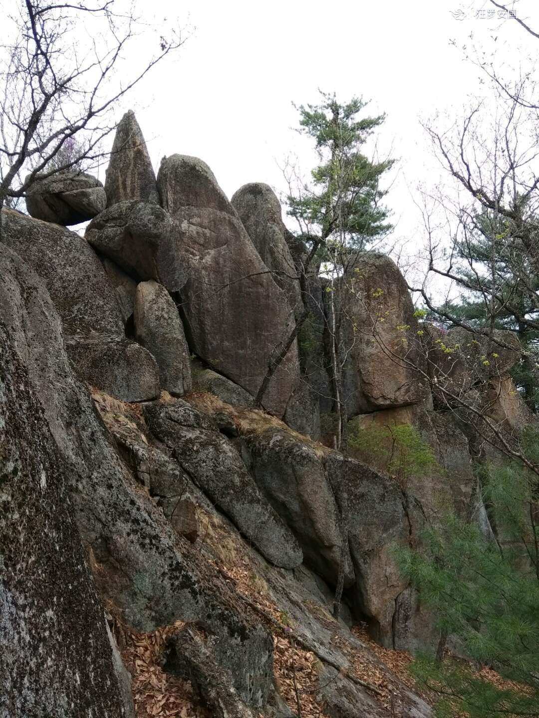 鸡冠砬子山