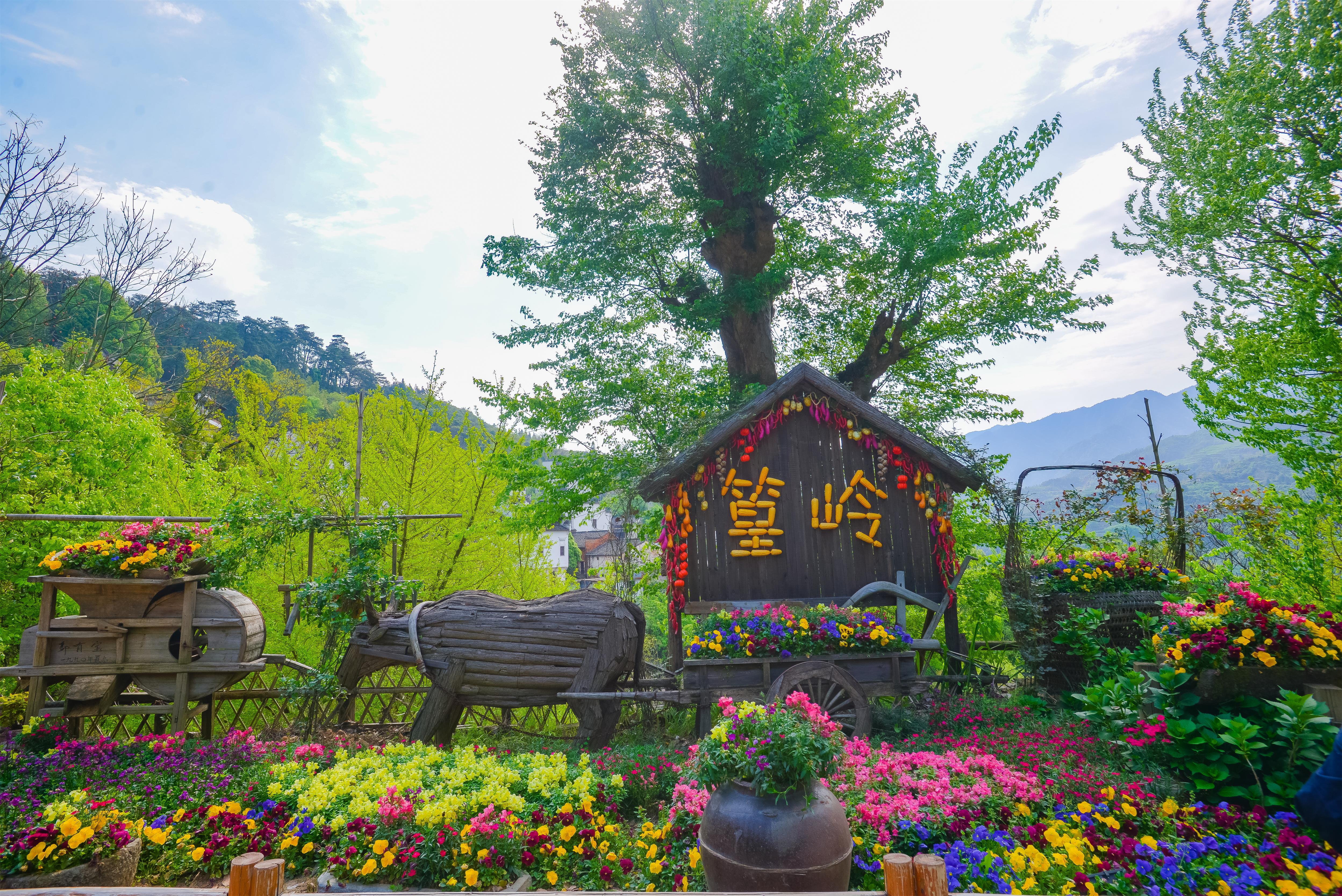  p>篁岭鲜花小镇位于江西省上饶市婺源县婺源篁岭旅游度假区内,篁岭