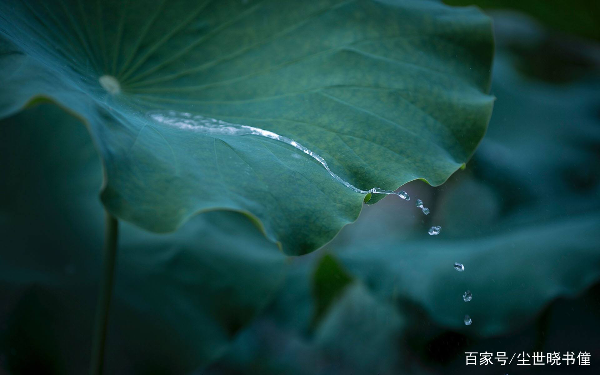 《全宋诗》里一首经典的咏雨诗，通篇犹如一幅画，美得令人心醉！_百科TA说