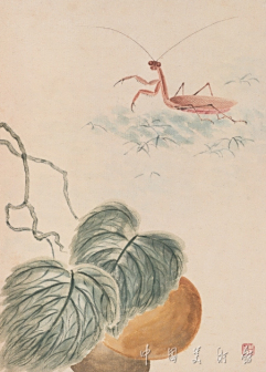 瓜藤螳螂
