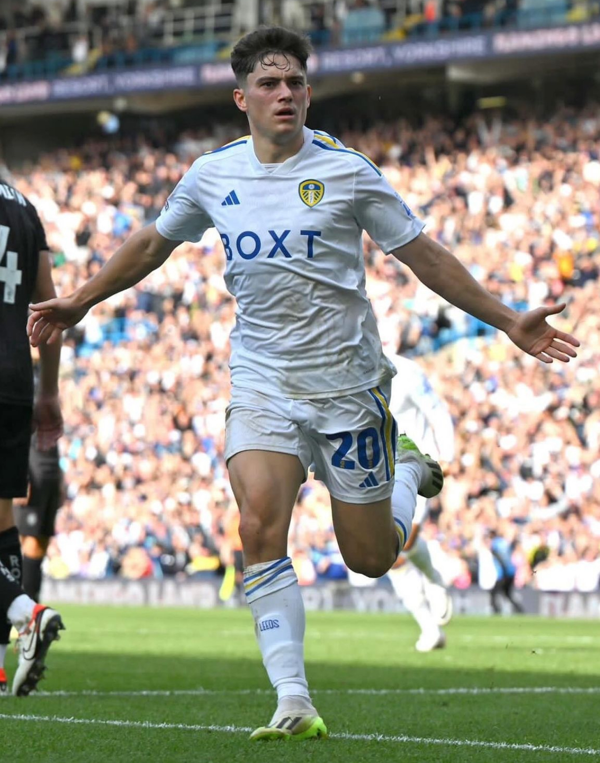 丹尼尔·詹姆斯