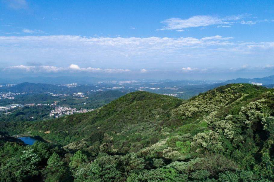 油麻山森林公园