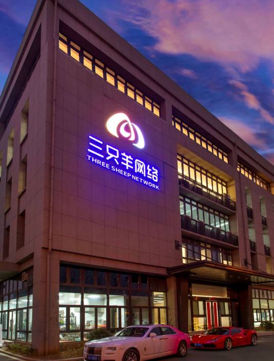 三只羊（合肥）控股集团有限公司_百度百科