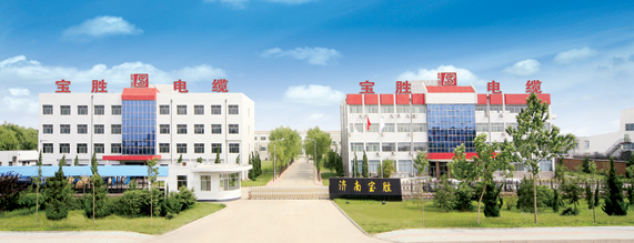 济南宝胜电缆有限公司