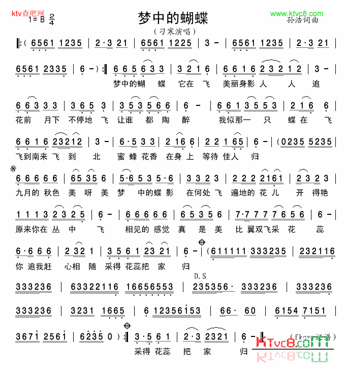 梦中的蝴蝶