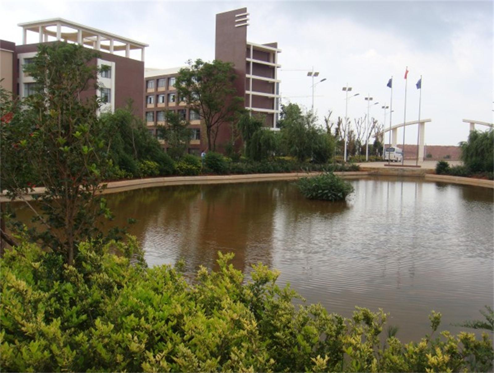  p>云南科技信息职业学院(yunnan vocational college of science and