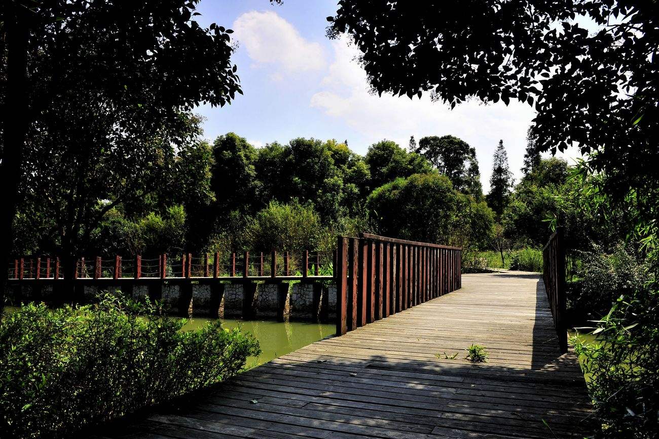 ɽɭֱ_ɽɭֹ԰_ɽɭֱ9¥