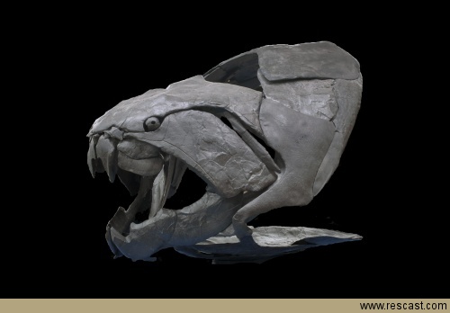  p>邓氏鱼(dunkleosteus terrelli),是一种活于泥盆纪时代(距今约3.
