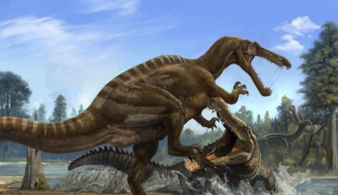  p>髂鳄龙(学名iliosuchus)又名史托龙,侏罗暴龙