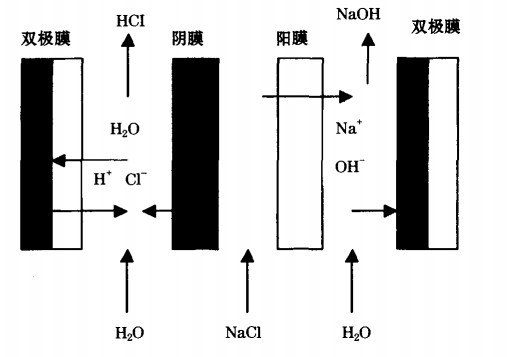 双极膜电渗析