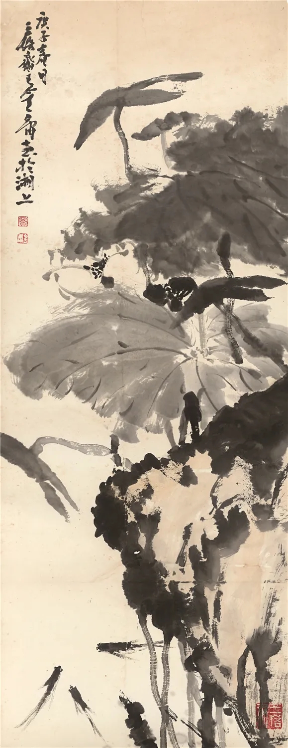 窦金庸