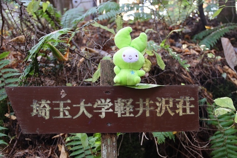  p>埼玉大学(日文平假名:さいたまだいがく;英文:saitama university)