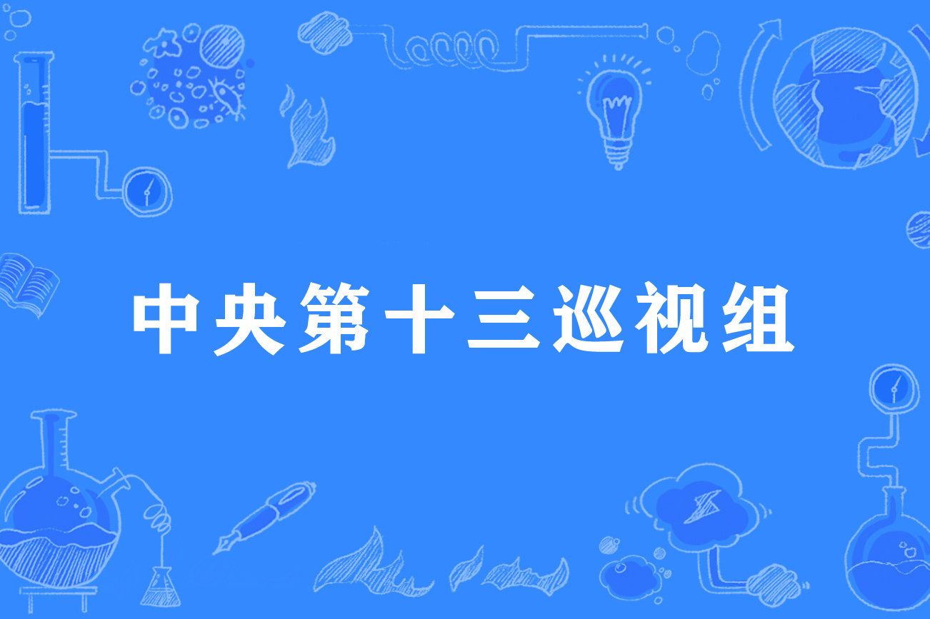 中央第十三巡视组