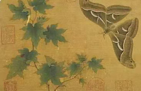 青蚨，在古人心中是钱的象征，却又很少将其图案用于钱币的制造_百科TA说