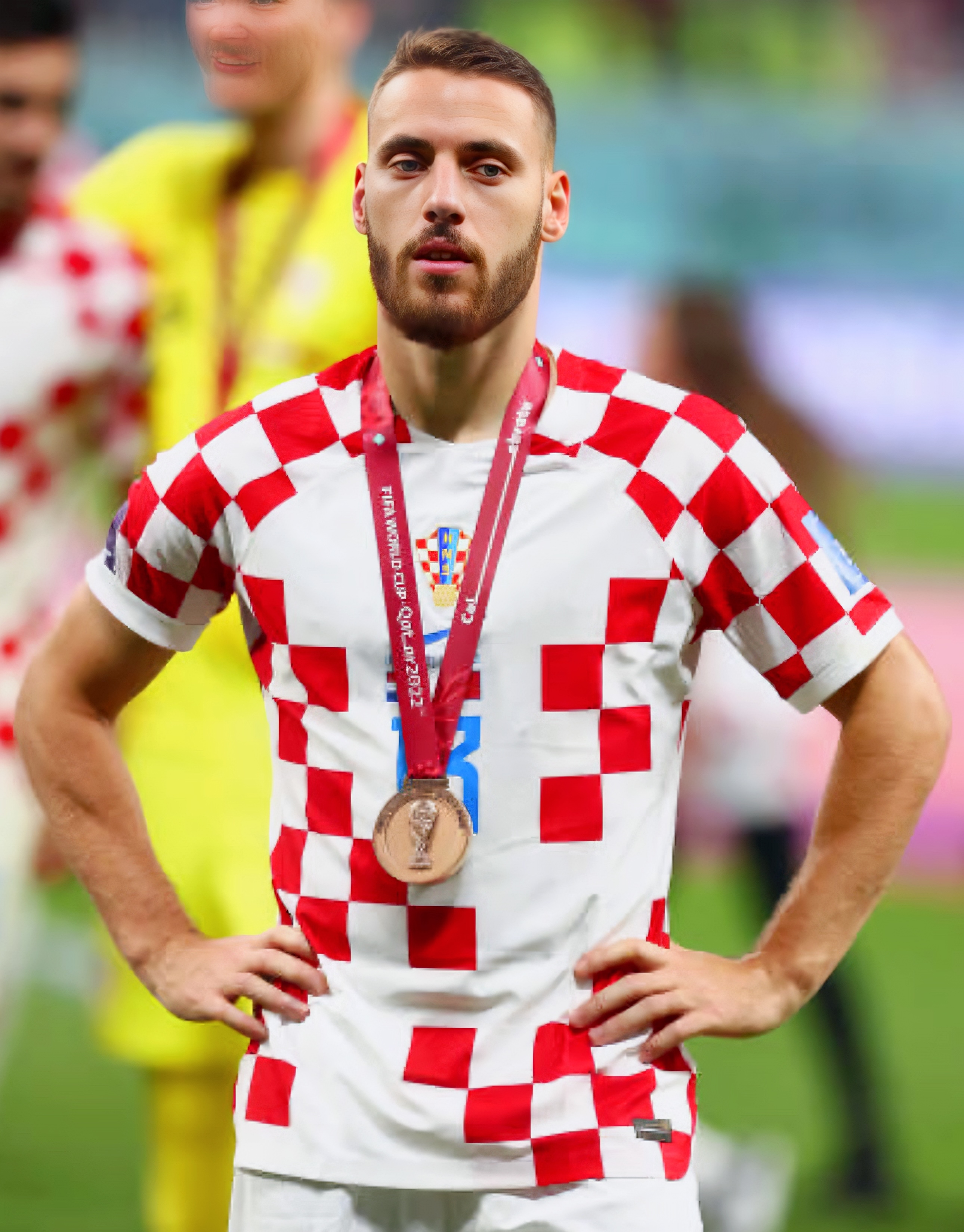 尼古拉·弗拉希奇