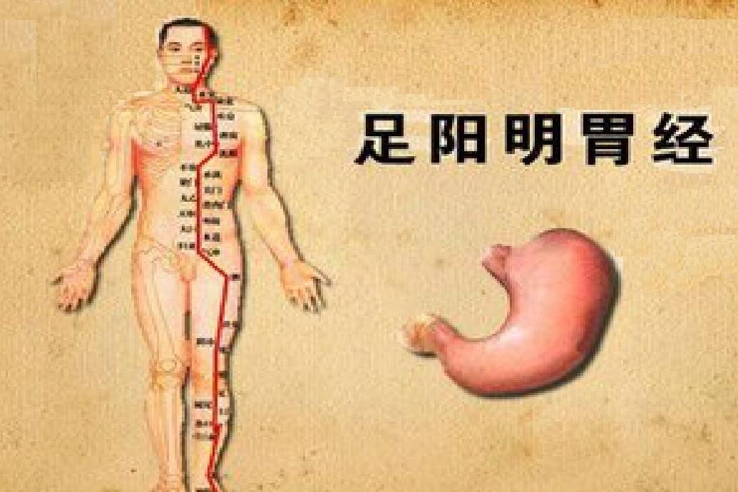  p>足阳明胃经是人体 a target="_blank" href="/item/十二经脉