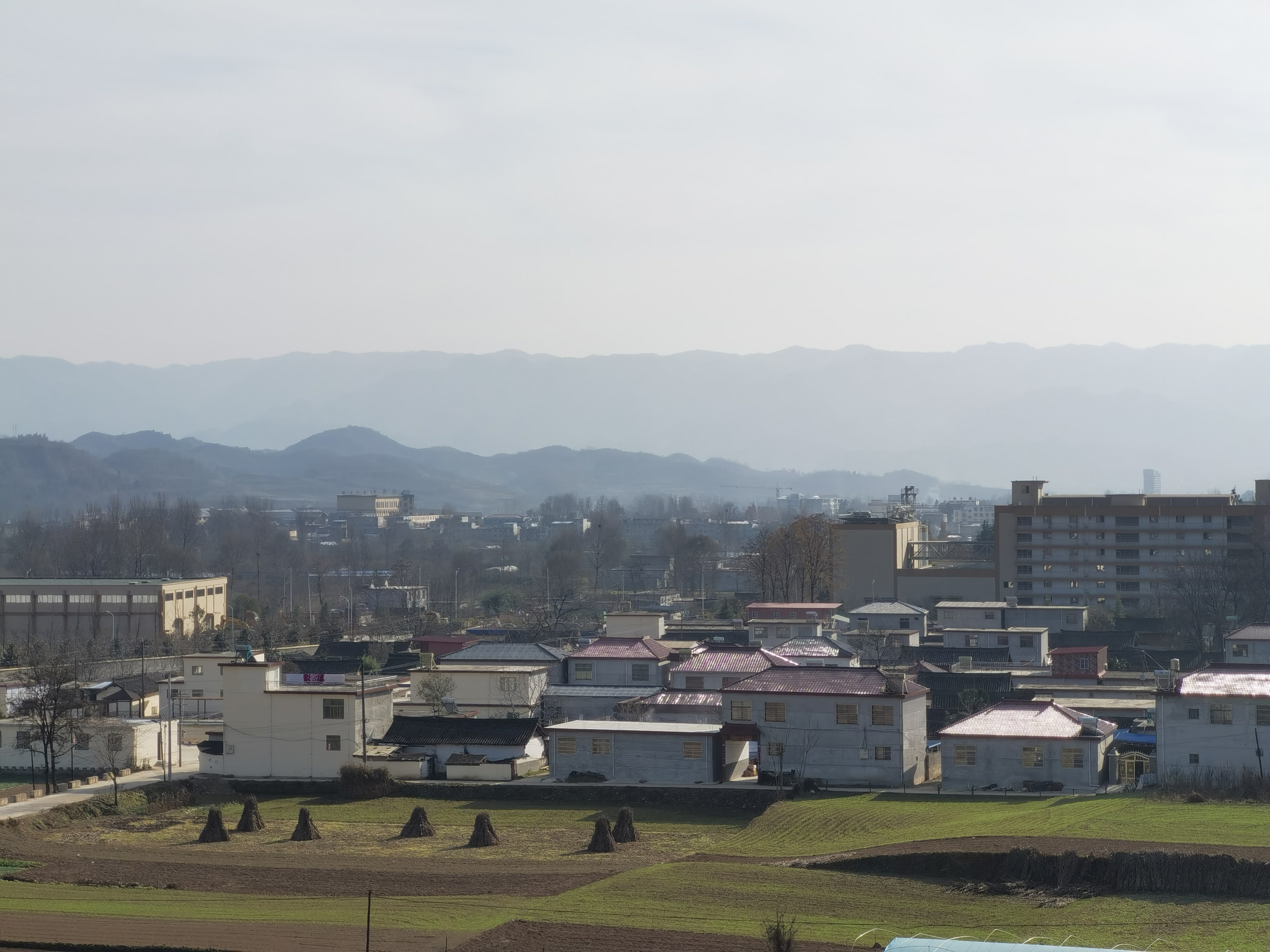 伏家镇硖门村