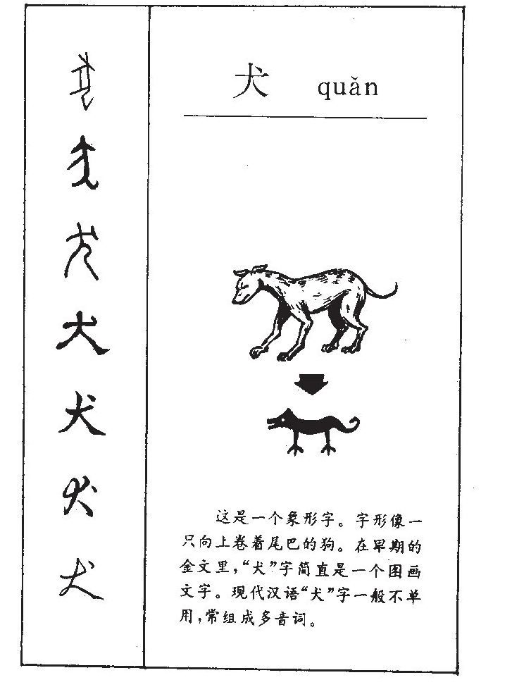  p>犬(拼音:quǎn)是汉语通用规范一级汉字(常用字).