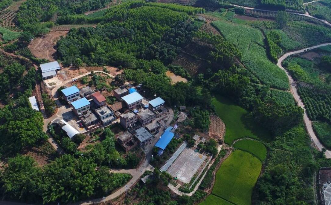 新江镇（广西壮族自治区南宁市邕宁区辖镇）_百度百科