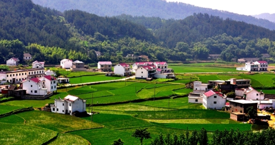 官庄村