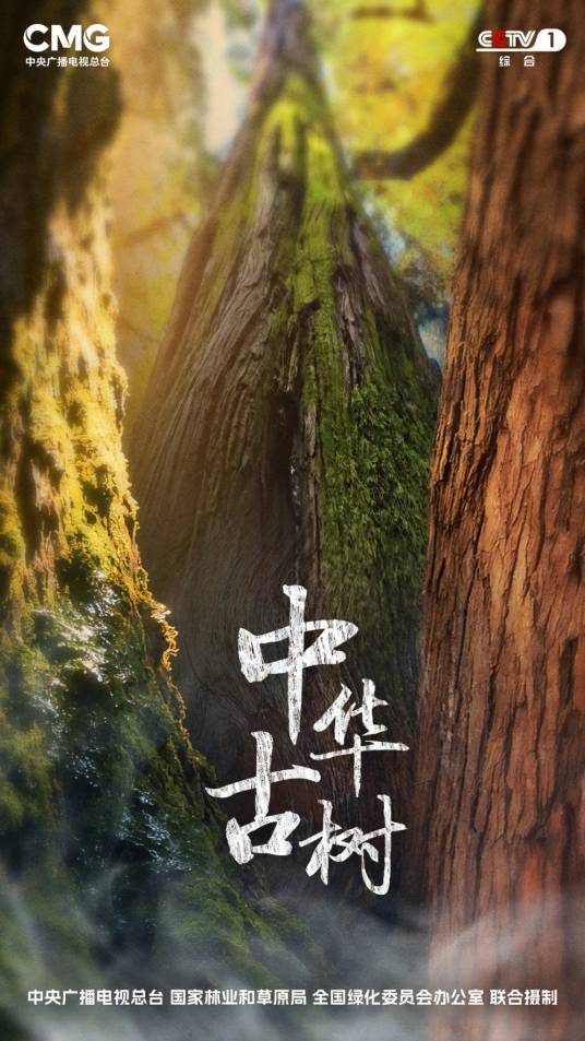 中华古树_百度百科