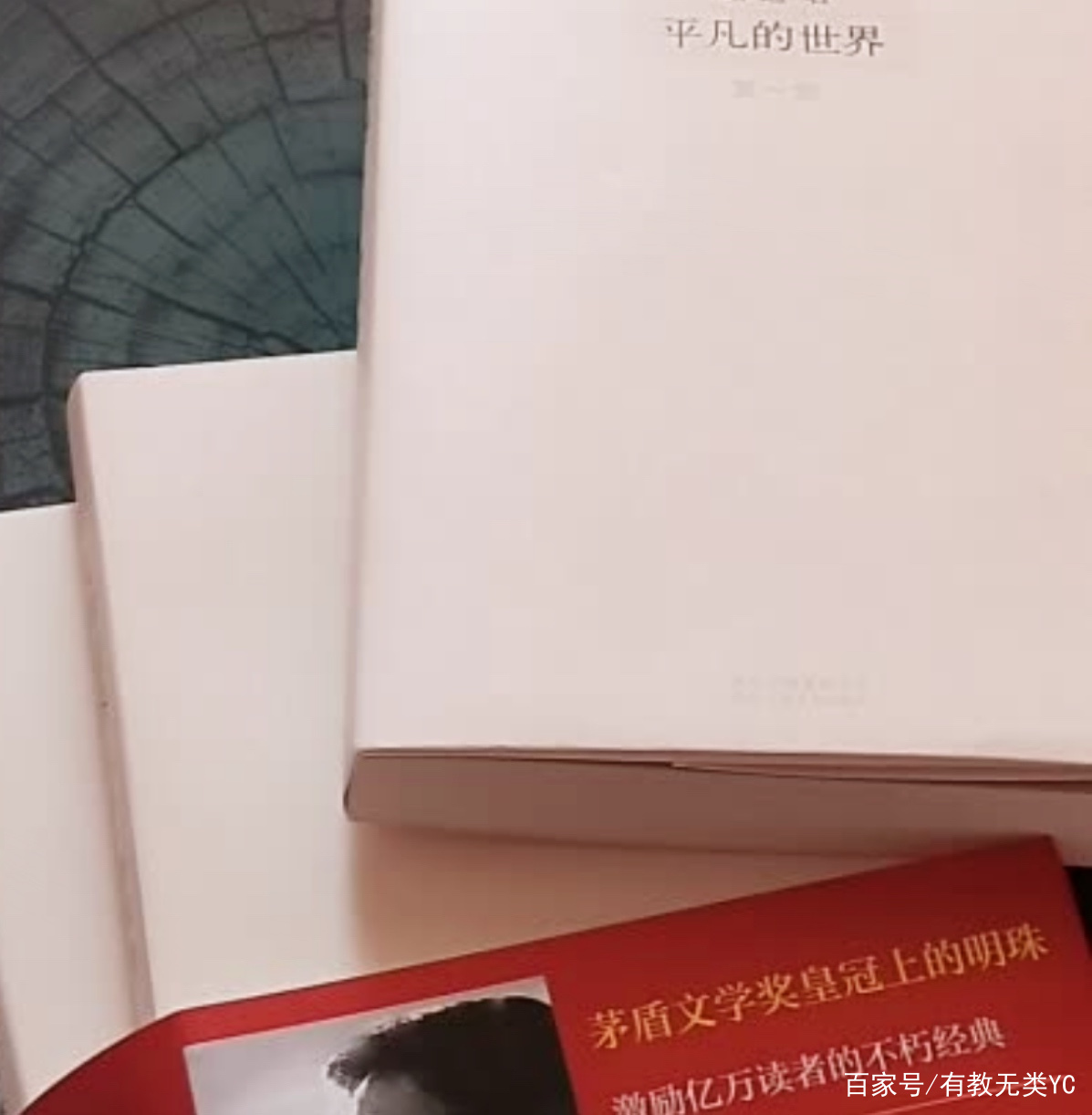 豆瓣9.0分，陈列畅销书架33年的《平凡的世界》，过时了吗？_百科TA说