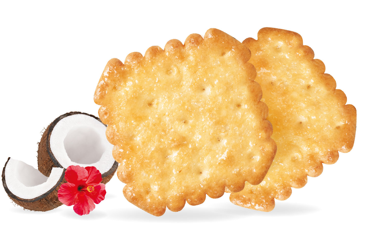 椰香松脆小饼干