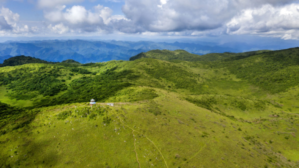 紫柏山国家森林公园_百度百科