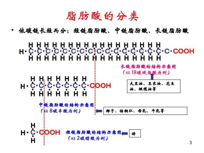 中长链脂肪酸