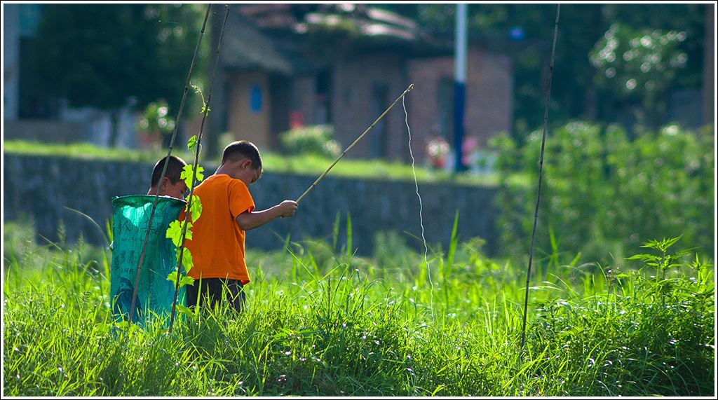 pkp">钓青蛙,在以前的 a target="_blank" href="/item/农村/1017518"