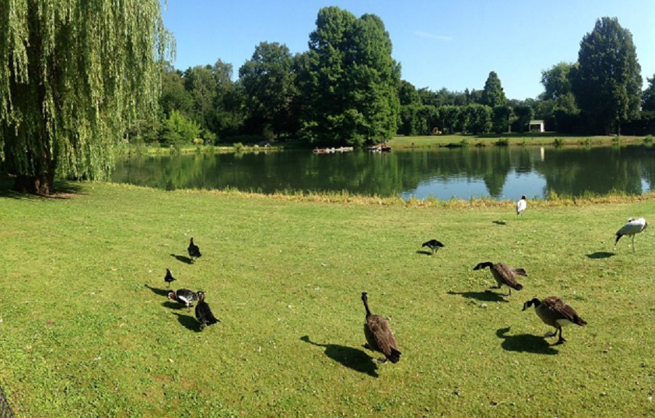  p>哈根贝克动物园于1907年创建,面积约二十五公顷,共有来自世界各个