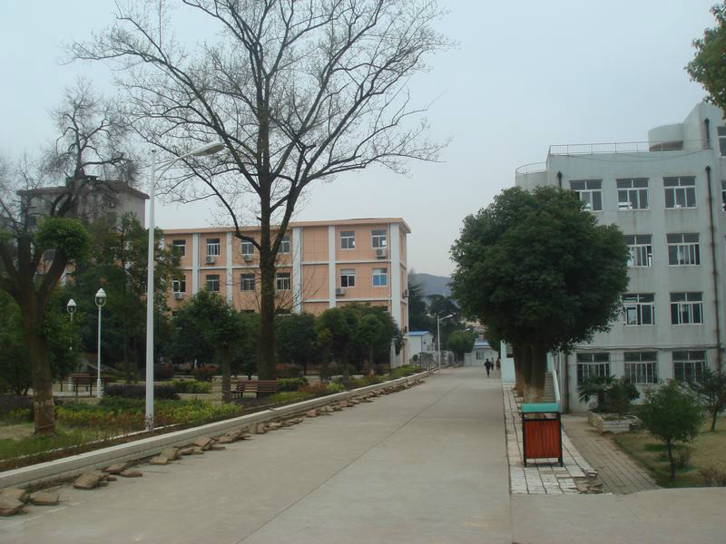 铜陵市第十五中学