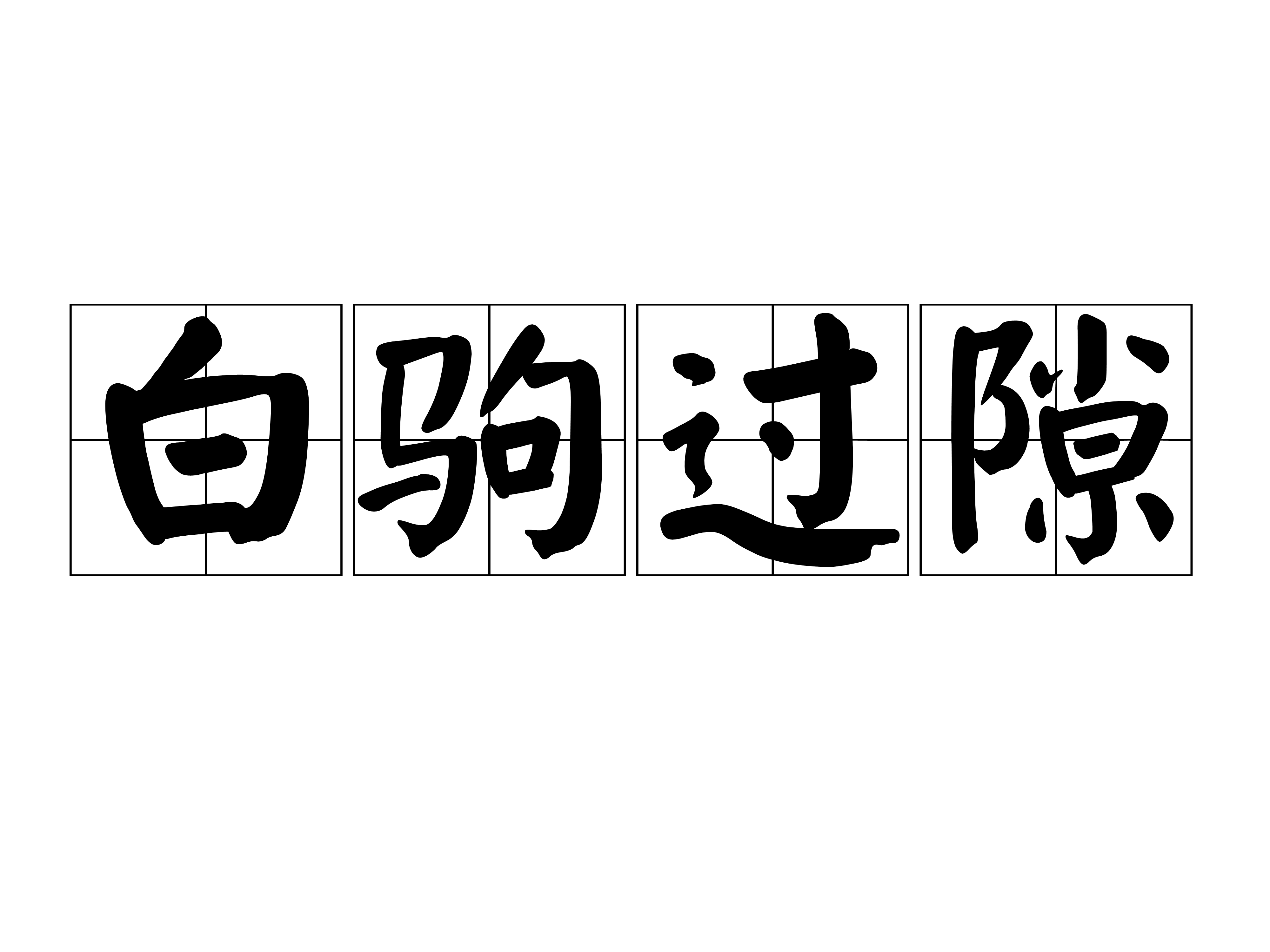 白驹过隙