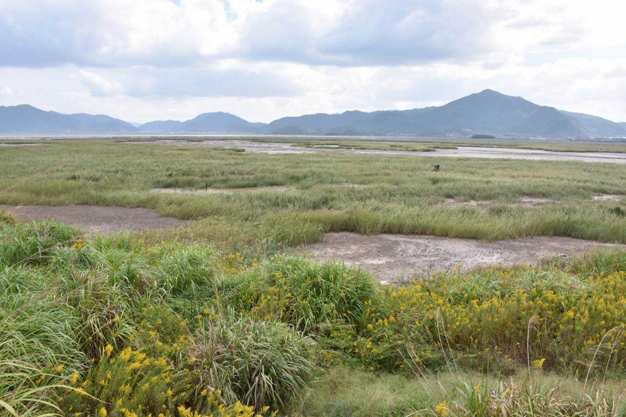 是 span class="ref" data-ctrid="tlbcisn0nycw">禾本科 /span> sup