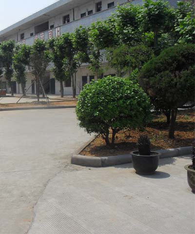 永康市白云小学