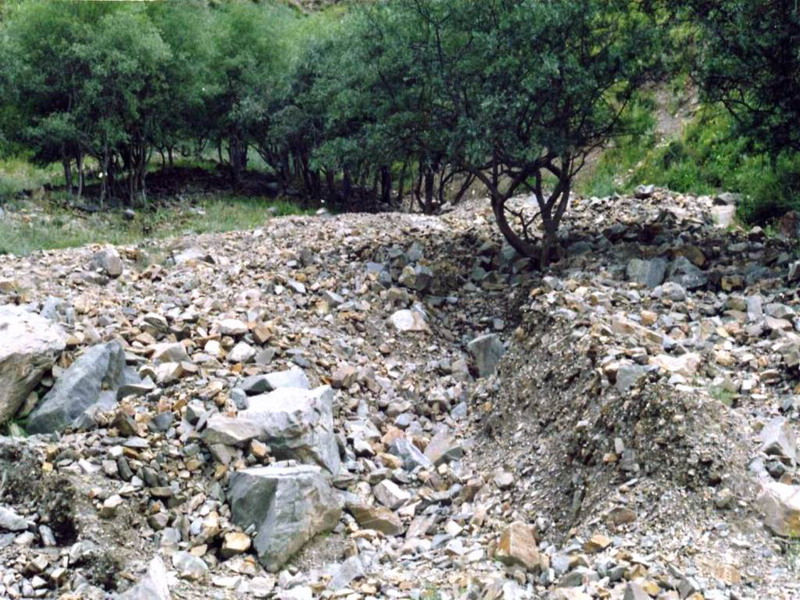  p>堆积物是在一定的地质条件下,通过快速侵蚀,搬运形成的产物,它包含