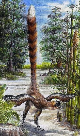  p>驰龙科(dromaeosauridae)是群类似 a href="#" data-lemmaid="